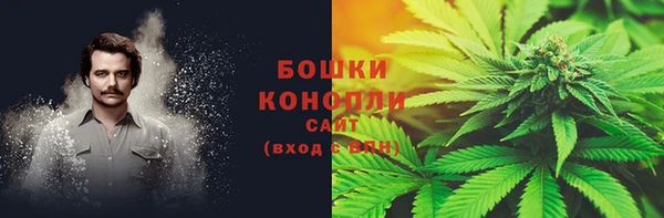 PSILOCYBIN Балахна