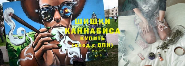 PSILOCYBIN Балахна