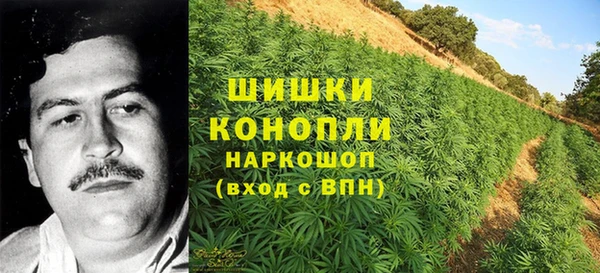 PSILOCYBIN Балахна